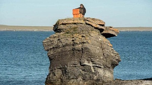 Стерх
